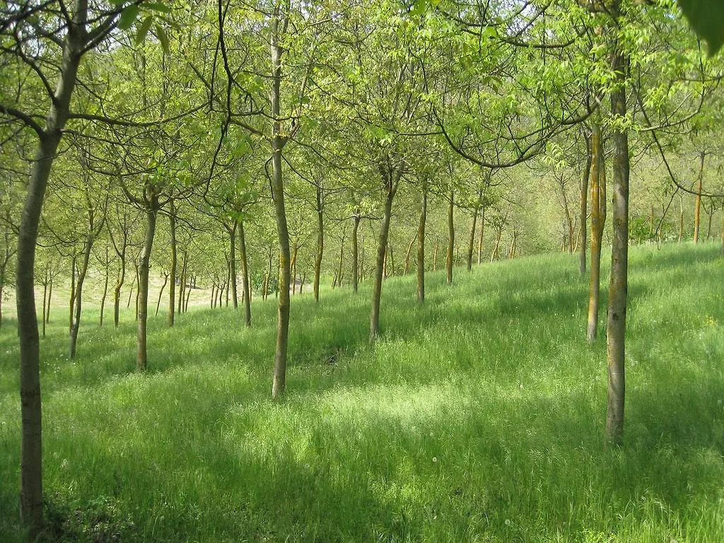 Il Mio Rifugio Affittacamere Gaggio Montano Casa di campagna